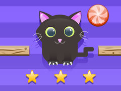 Xogo Cat Challenge