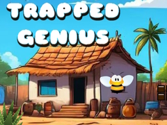 Xogo Trapped Genius