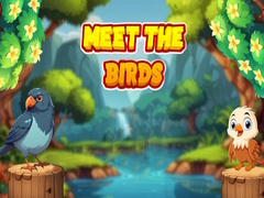 Xogo Meet The Birds 