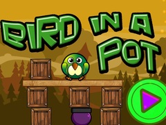 Xogo Bird In A Pot