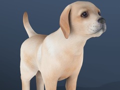 Xogo IDLE Pet
