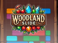 Xogo Woodland Slide