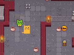 Xogo Сat vs Kripotians