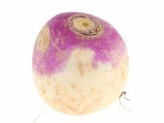 Xogo Turnip