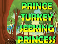 Xogo Prince Turkey Seeking Princess