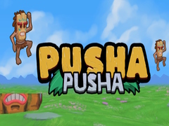 Xogo Pusha Pusha