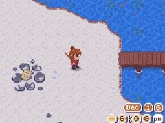 Xogo The Cozy Fishing