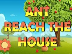 Xogo Ant Reach the House