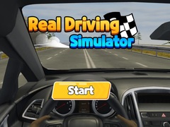 Xogo Real Driving Simulator