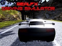 Xogo RealFX Driving Simulator