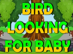 Xogo Bird Looking For Baby