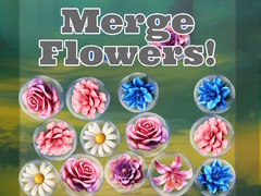 Xogo Merge Flowers!
