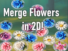 Xogo Merge Flowers in 2D!