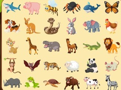 Xogo Discover Animals