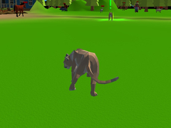 Xogo Cougar Simulator - Big Cats