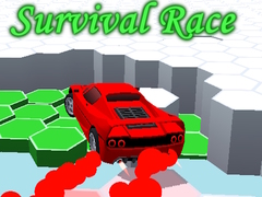 Xogo Survival Race