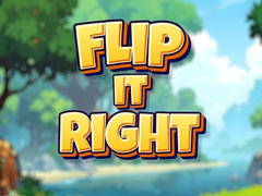 Xogo Flip It Right