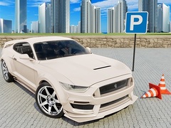 Xogo Car Simulator 3D