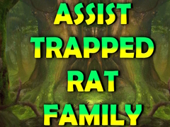 Xogo Assist Trapped Rat Family