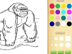 Xogo Zoo Animals Coloring Book for Kids