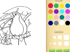 Xogo Amazon Rainforest Coloring Book for Kids