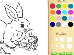 Xogo Bunny Coloring Book For Kids