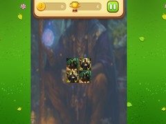 Xogo Magic Druid Memory Match