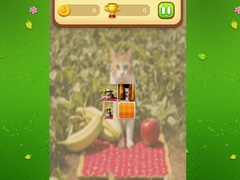 Xogo Farm Cat Memory Match
