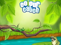 Xogo Colour Catch