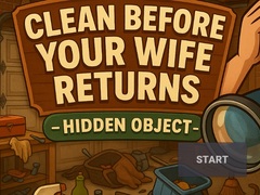 Xogo Clean Before Your Wife Returns Hidden Object