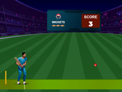 Xogo Cricket Night 2