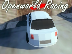 Xogo Openworld Racing