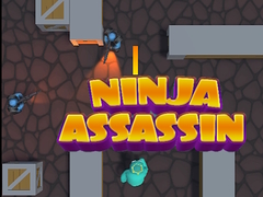 Xogo Ninja Assassin