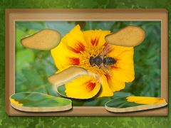 Xogo Find & Restore: Hidden Puzzle
