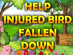 Xogo Help Injured Bird Fallen Down