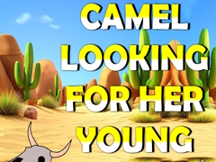 Xogo Camel Looking For Her Young