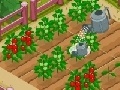 Xogo New Farmer 2