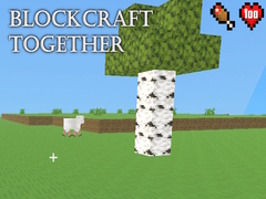 Xogo BlockCraft Together