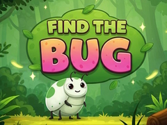Xogo Find the Bug