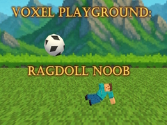 Xogo Voxel Playground: Ragdoll Noob