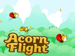 Xogo Acorn Flight