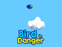 Xogo Bird in Danger