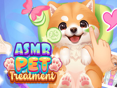 Xogo ASMR Pet Treatment