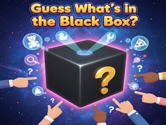 Xogo Guess What's in the Black Box?
