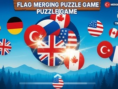 Xogo Flag Merging Game Puzzle Game