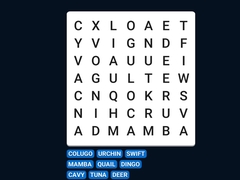 Xogo Word Search Word Puzzle