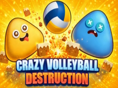 Xogo Crazy Volleyball Destruction