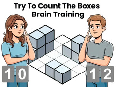 Xogo Try To Count The Boxes Brain Training
