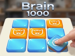Xogo Brain 1000