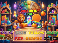 Xogo What Color Is This